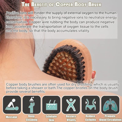 الملمس الجاف فرشاة سلك نحاسي خشب الزان مشط جلد الد...