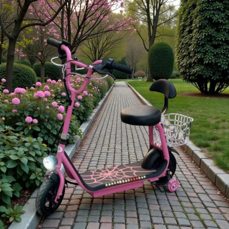 سكوتر أبو سلة ميني