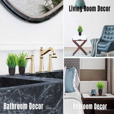 4 اوعية نباتات