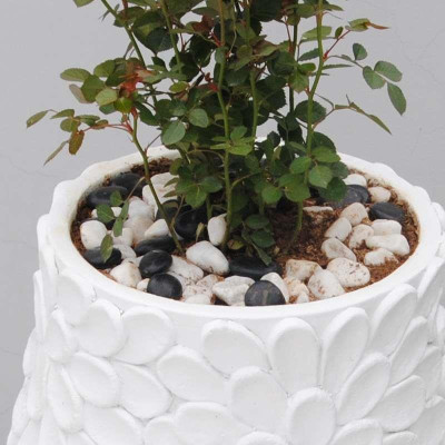 إناء زهور بتصميم بسيط