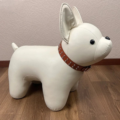 المدخل غرفة المعيشة المنزلية بسيطة الحيوان يجلس ال...