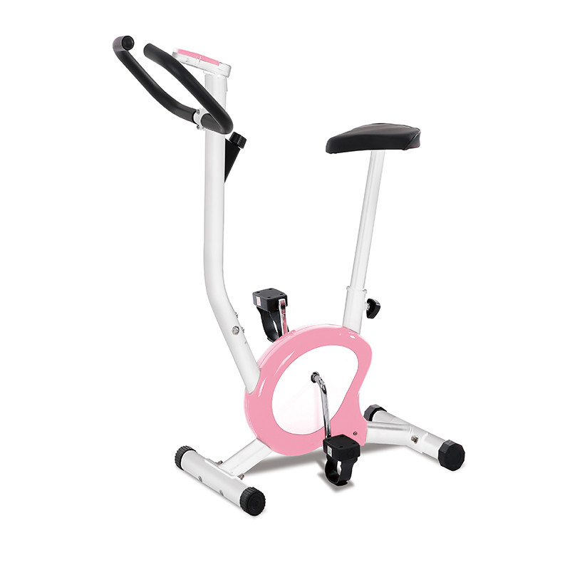 دراجة تمارين رياضية 38-1113 زهري