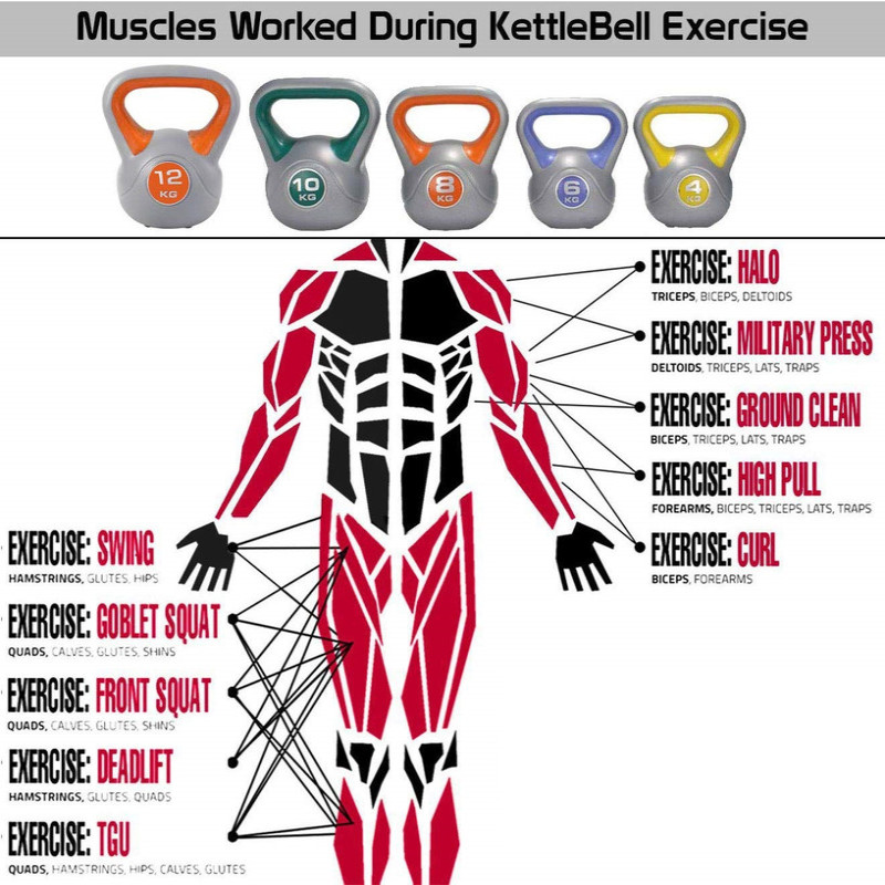 دمبل اوزان ملون 10KG 38-1165