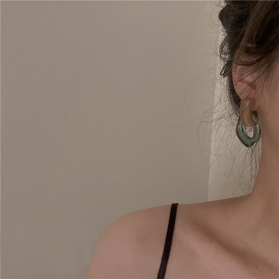 2024 New Jewelry Trendy Transparent Resin Hoop Ear...