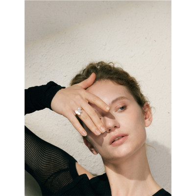 Yhpup 316L الفولاذ المقاوم للصدأ الزركون قذيفة الط...