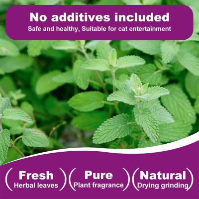 جرة Pet's Cat Premium Catnip-460ml من النعناع البر...