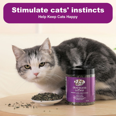جرة Pet's Cat Premium Catnip-460ml من النعناع البر...