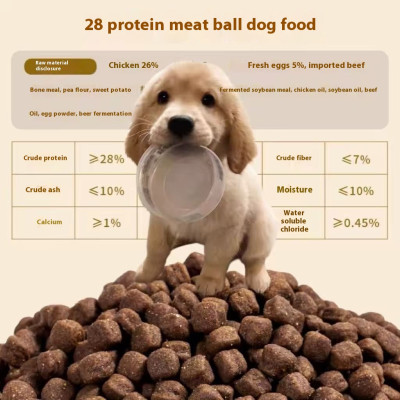 سلالة كبيرة للكلاب البالغة محددة من الذهبي المسترد...