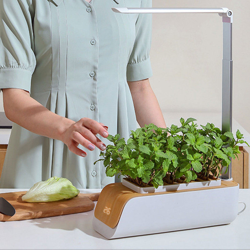 نظام زراعة ذكي بإضاءة نمو وتنبيه مائي