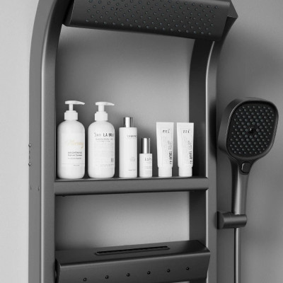 نظام دش ثرموستاتي متعدد الوظائف مع شاشة رقمية، رأس...