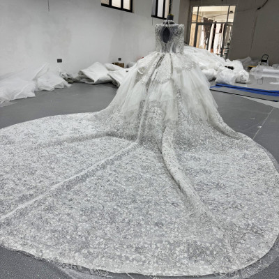 فستان زفاف فاخر بأكمام طويلة ثوب الكرة الدانتيل ال...