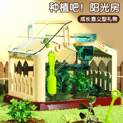 منزل زراعة أشعة الشمس للأطفال تجربة علمية صندوق مر...