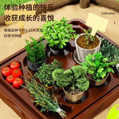 منزل زراعة أشعة الشمس للأطفال تجربة علمية صندوق مر...