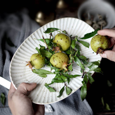 طبق بيضاوي من السيراميك كل حجم بسعر مختلف ومناسب