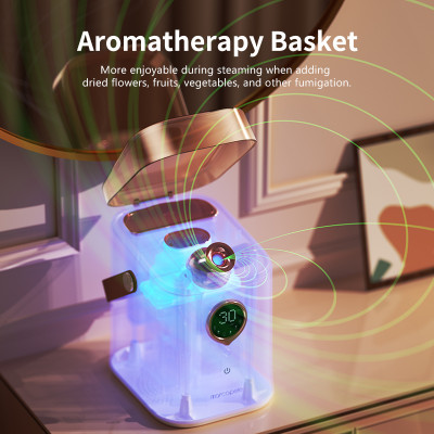 جهاز بخار الوجه أيوني نانو