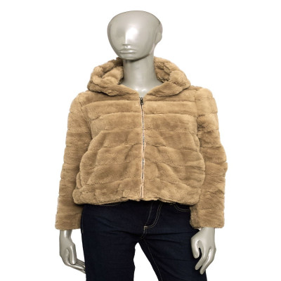 بالدينيني تريند