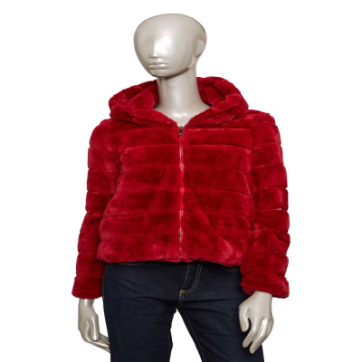 بالدينيني تريند