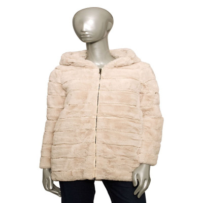 بالدينيني تريند