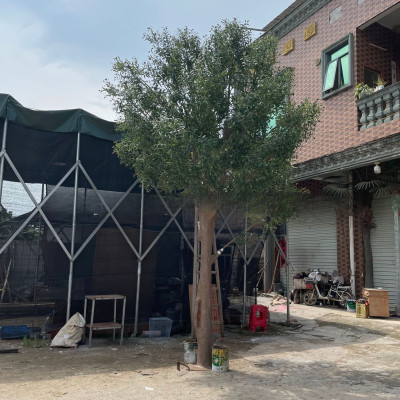 شجرة زيتون صناعية، شجرة صناعية كبيرة داخلية وخارجي...