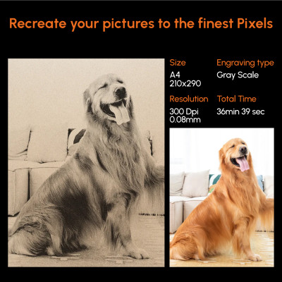 جهاز ليزر AlgoLaser-Alpha 22W بمضخة مساعدة للهواء...