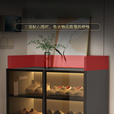 خزانة أحذية مضادة للغبار للمنزل ، تخزين سعة كبيرة...