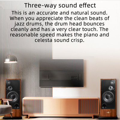 رف خشبي قائم على الأرض لمراقبة مكبرات الصوت السلبي...