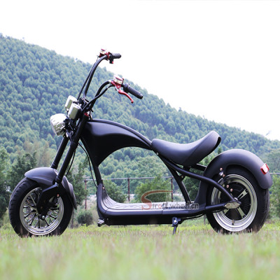 بطارية ليثيوم Citycoco ، دراجة مروحية ، سكوتر كهرب...