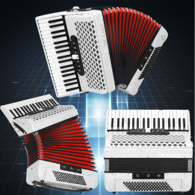 HK · LADE-أكورديون احترافي مع حقائب ظهر وحزام ، آل...