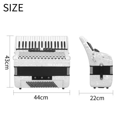 HK · LADE-أكورديون احترافي مع حقائب ظهر وحزام ، آل...