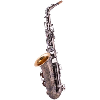 آلات موسيقية احترافية ألتو ساكسفون a- W010