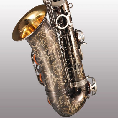 آلات موسيقية احترافية ألتو ساكسفون a- W010