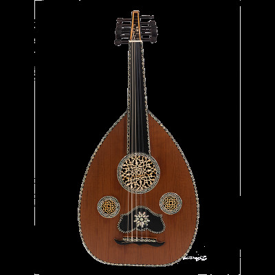 الغيتار بالشرق الأوسط ، الآلات التقليدية المصرية ،...