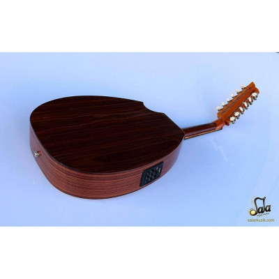 التركية المهنية نصف قطع الكهربائية العود سلسلة أدا...