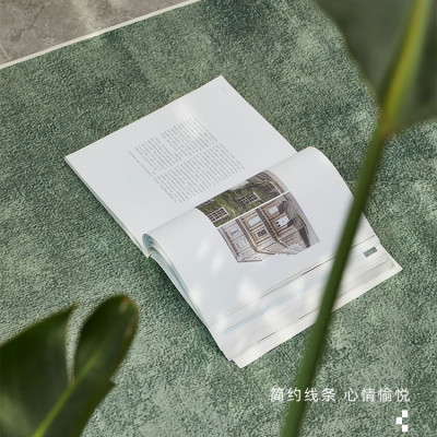 Modern Minimalist Bedroom Decor Solid Color Carpet...