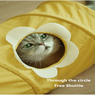 لعبة دوارة نفق القطط التفاعلية، ممر حلزوني رائع قا...