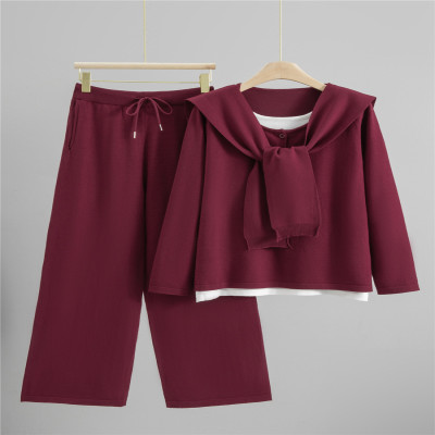 المرأة عادية محبوك 2 قطعة مجموعات الكورية تريكو ست...